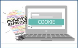 La Privacy per il Digital Marketing: Cookies e Profilazione