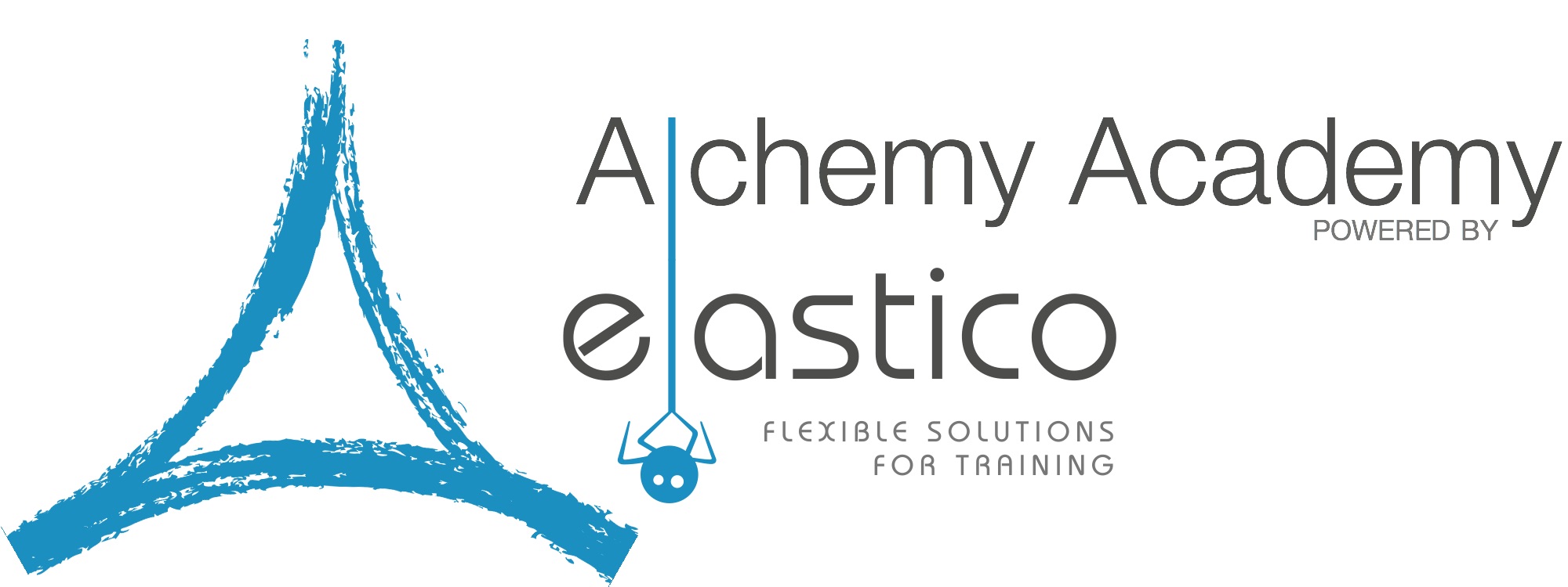 alchemy-elastico-h