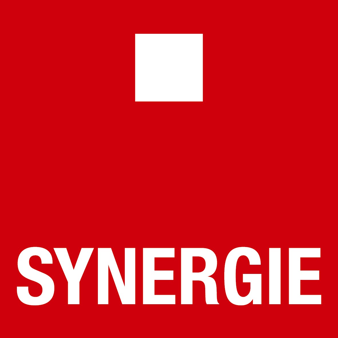 LOGO_SYNERGIE 2012