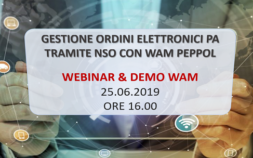 WEBINAR 25.06.2019 – PEPPOL